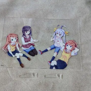 논노비 아크릴 플레이트