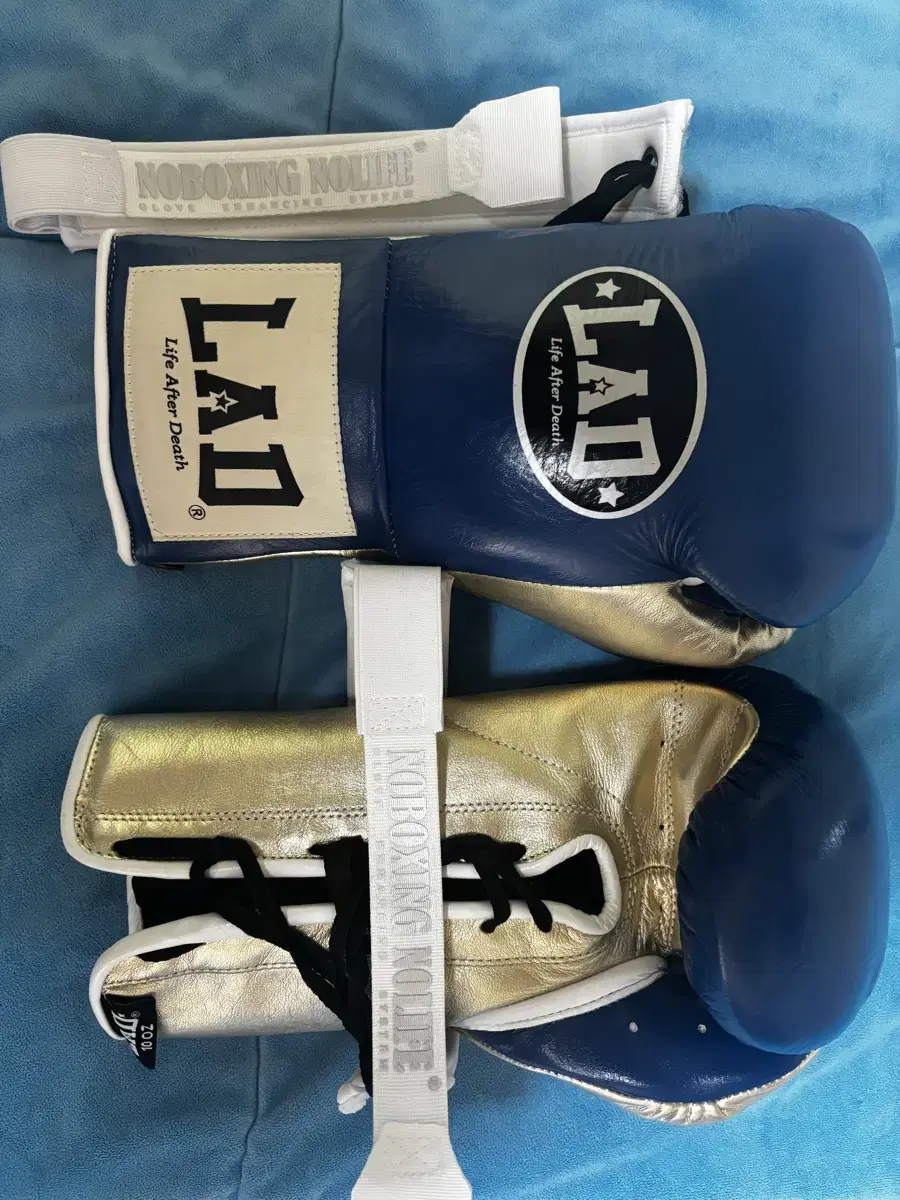 LAD Boxing Gloves 10oz