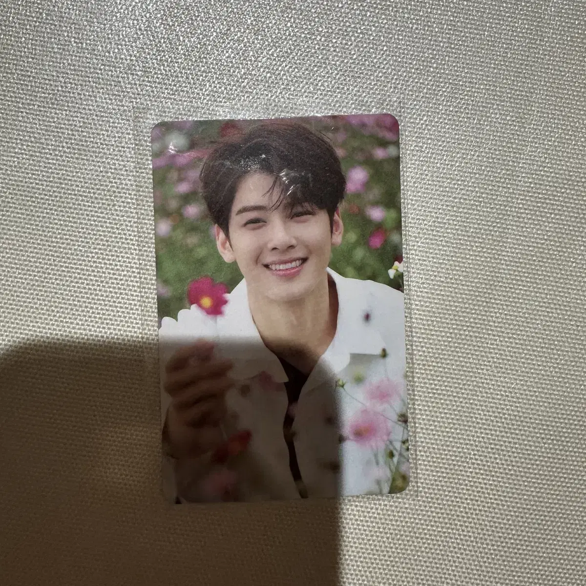 아스트로 차은우 astro 앨범 포카