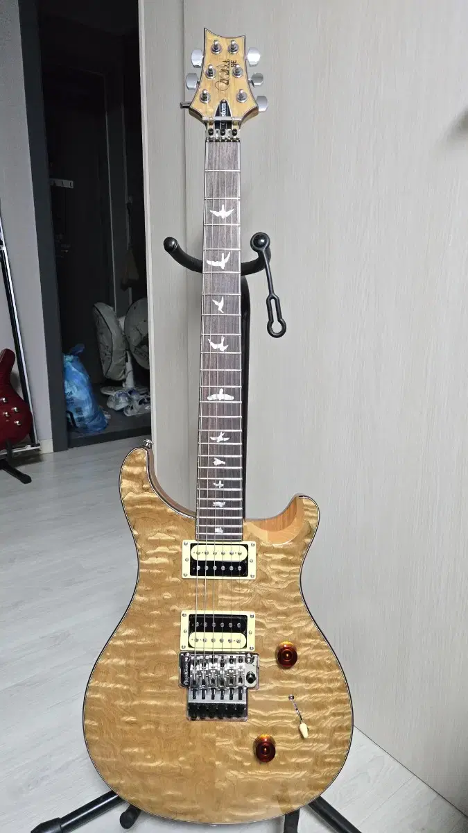 PRS SE CU24 Floyd Bridge