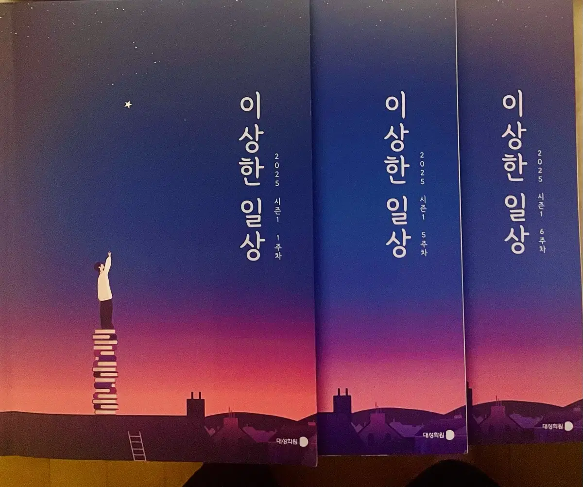2026 강남대성 류재민 이상한일상 독서