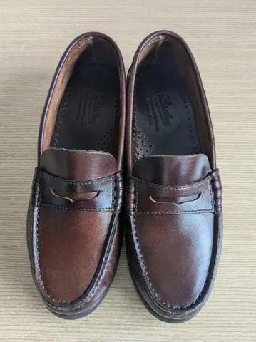파라부트 파라부트 코로 로퍼 코인 로퍼 23
