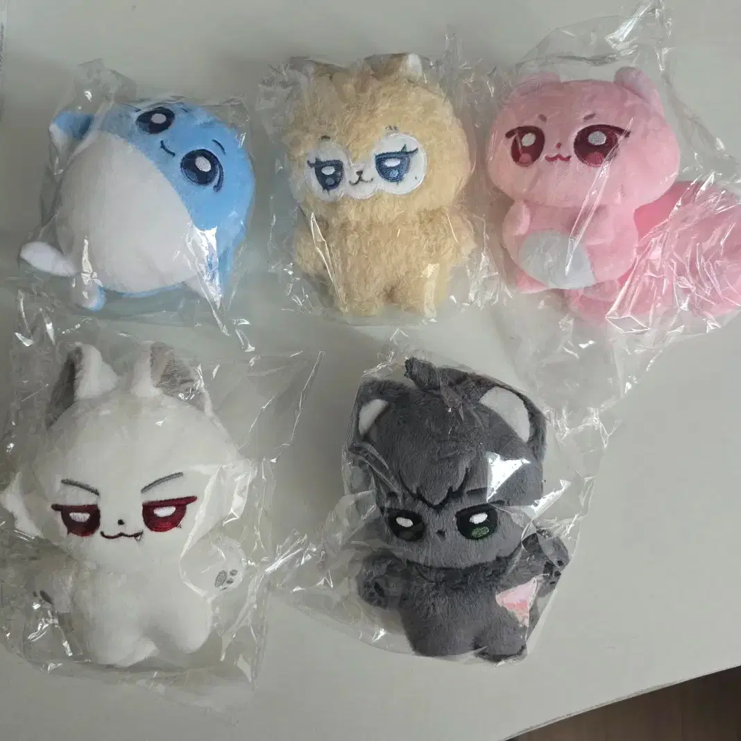 PLAVE | 플레이브 [PLAVE] Animal ver. bulk wts #플레이브,#플레이브