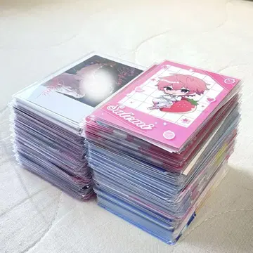 스토푸리 사토미 묶음 판매 코레카 포토 카드 벌스데이 굿즈