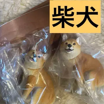 훈마리누 시바견 가챠가챠 2개 세트 브라운 시바 캡슐 토이 가샤폰