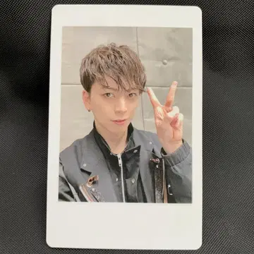 MeseMoa. 메세모아. 하피카 노자키 도시락 1개 무료배송