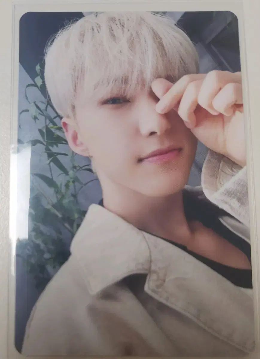 Seventeen hoshi kwon soonyoung BORDER : CARNIVAL standard poca wts
