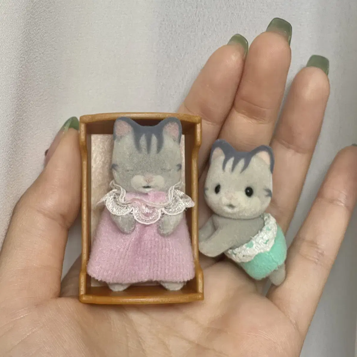 실바니안 올드 피셔 고양이 슬리핑 쌍둥이