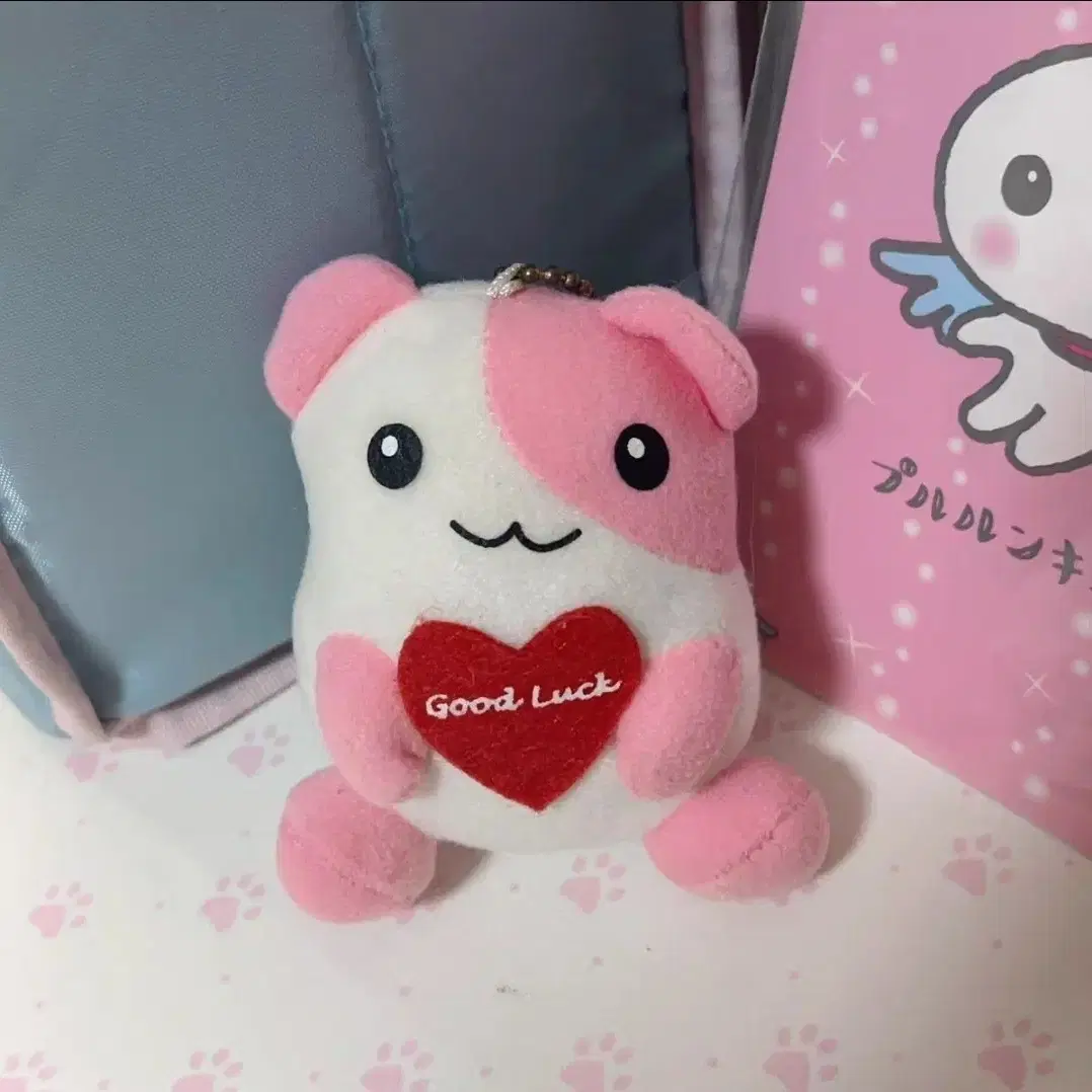 X 햄스터 사이트 (85) 사진