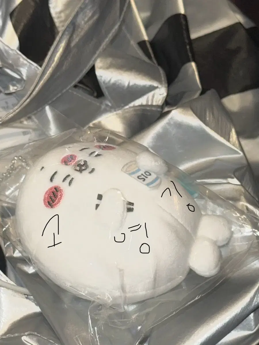 (미개봉) 나가노 수족관 물범 쿠지 D상 노멀 시오 네코 인형 키링