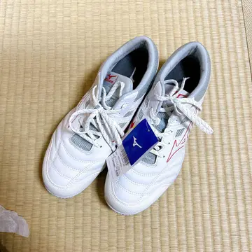 mizuno|미즈노 26.0cm 남녀 공용 안전화 올마이티 TDII1