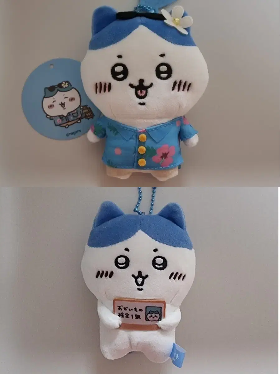 (이번주할인)자격증 하치와레+하와이안 하치와레 마스코트 세트