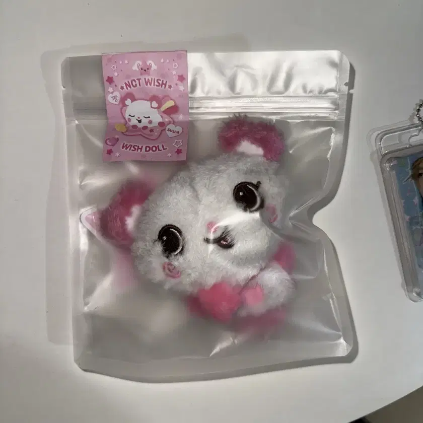 NCTWISH wishdoll サクヤ パン nct Wish 10cm Doll Kuri Bubble Night Bang Sakuya riku Yuushi