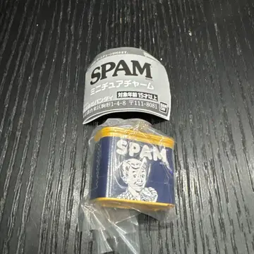 SPAM 미니어처 참