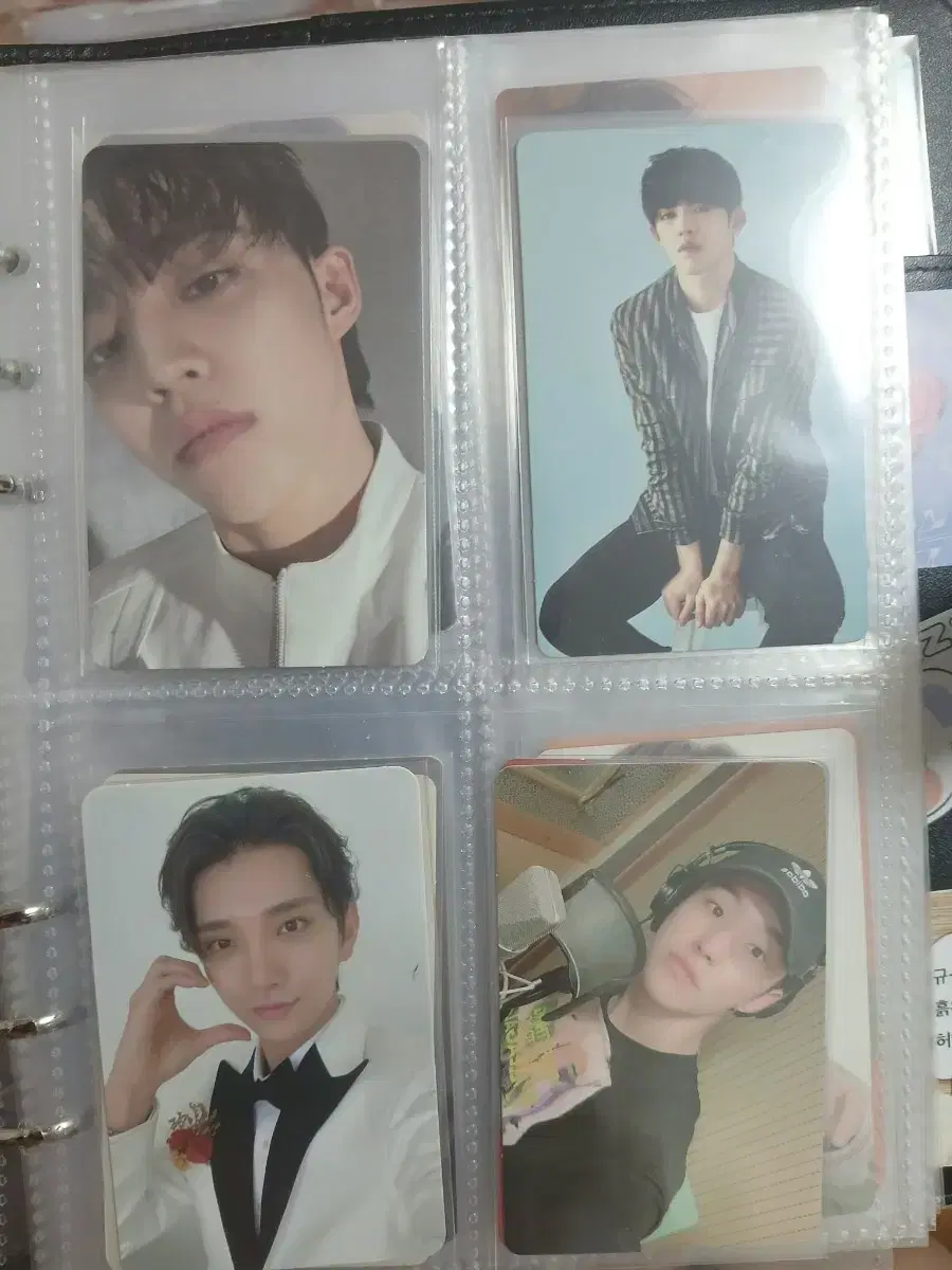 세븐틴 포카 일괄 판매