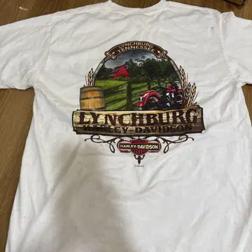 HarleyDavidson 할리 티셔츠 레어 Hanes Beefy