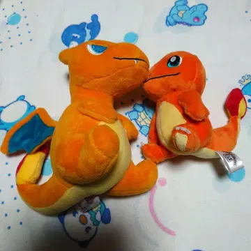 포켓몬 센터 포켓몬 인형 리자몽 핏 히토카게 봉제 인형