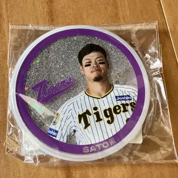 사토 테루아키 타이거즈 글리터 코스터