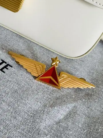 델타 항공 기장용 핀 배지 골드 메탈 정품