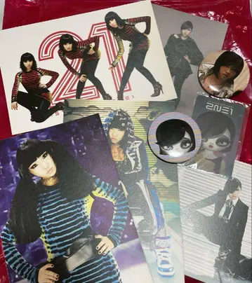 2NE1 MINZY 엽서 캔뱃지 카드