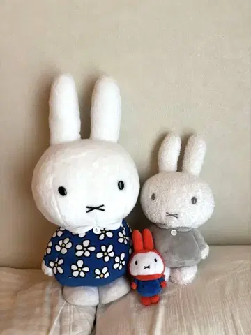 미피 봉제 인형 세트