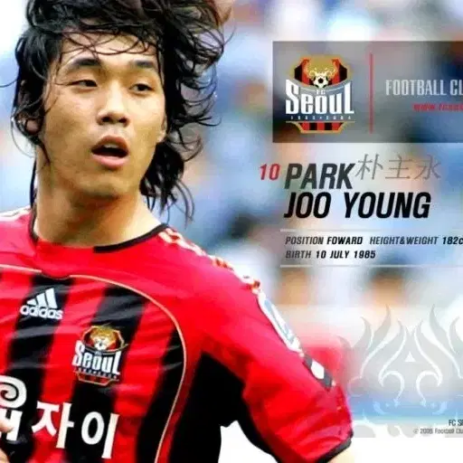 FC Seoul 0708 Park Zuu-young Legend Soccer Apparel Replica