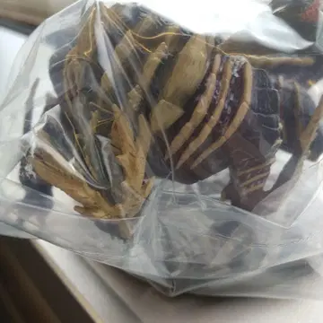 마가이마가도 몬스터 헌터