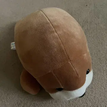 해마 기노사키 마린 월드 봉제 인형