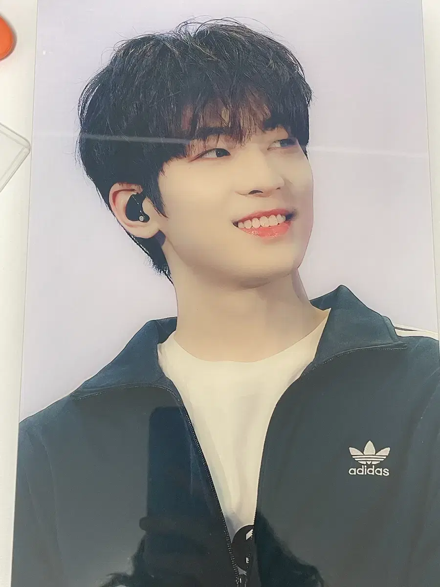 원우 2023캐럿랜드 액자