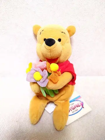 디즈니 빈백 푸우 꽃다발 포함