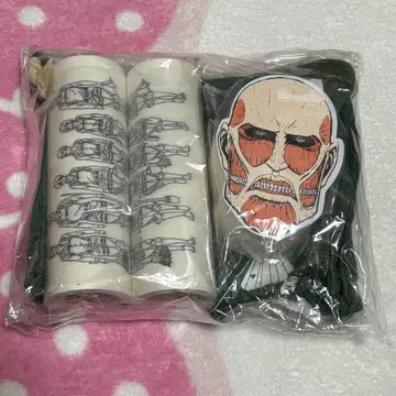 진격의 거인 리바이 병장의 대청소 세트