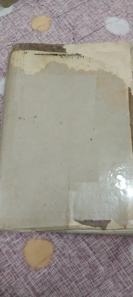 소장 첫성경