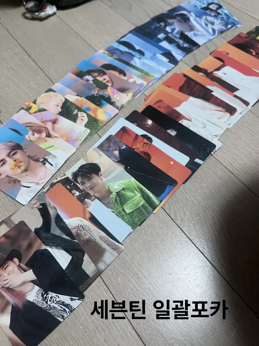 급처) 세븐틴 sector17 포카일괄