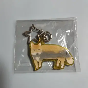 하이큐 전시회 애니멀 캔디 참 코쿠나 린타로 시크릿