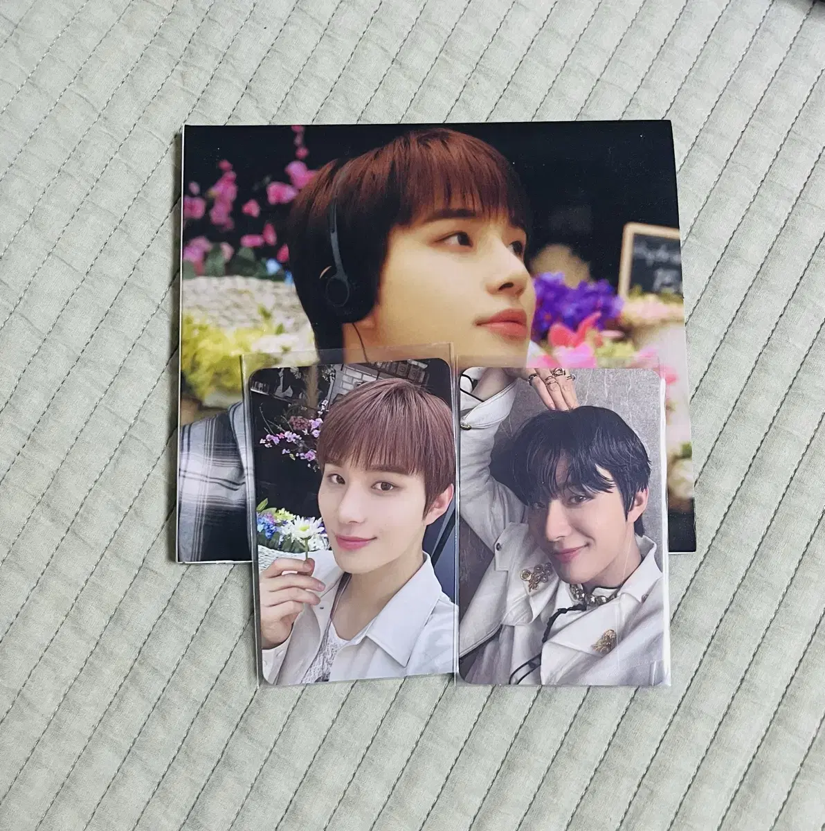 엔시티 정우 앨범&포카