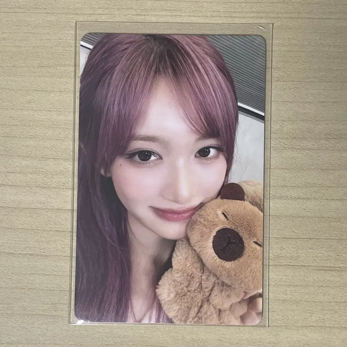 스위치 이즈위 카피바라 이서 양도