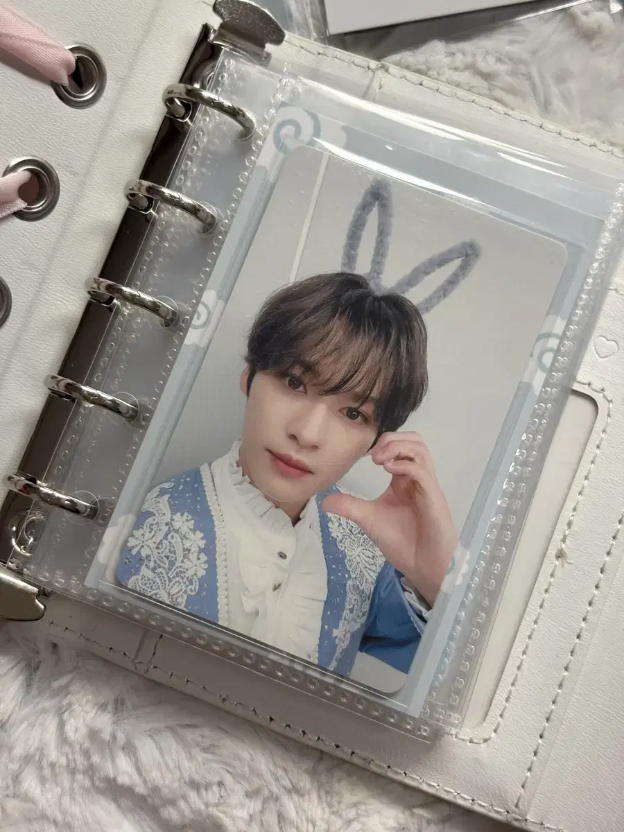 스트레이키즈 스키즈 리노 일본 사이타마 회장 한정 토끼리노 양도