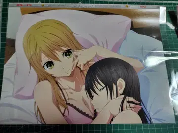 citrus 양면 핀업 포스터