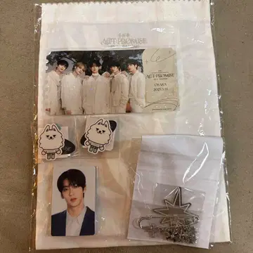 TXT 프리미엄 시트 업그레이드 혜택 트레이딩 카드 수빈