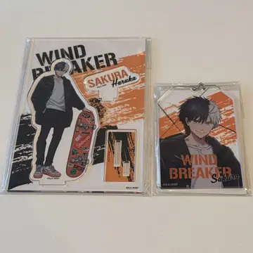 WIND BREAKER 윈브레 아크릴 스탠드 키링 벚꽃 하야