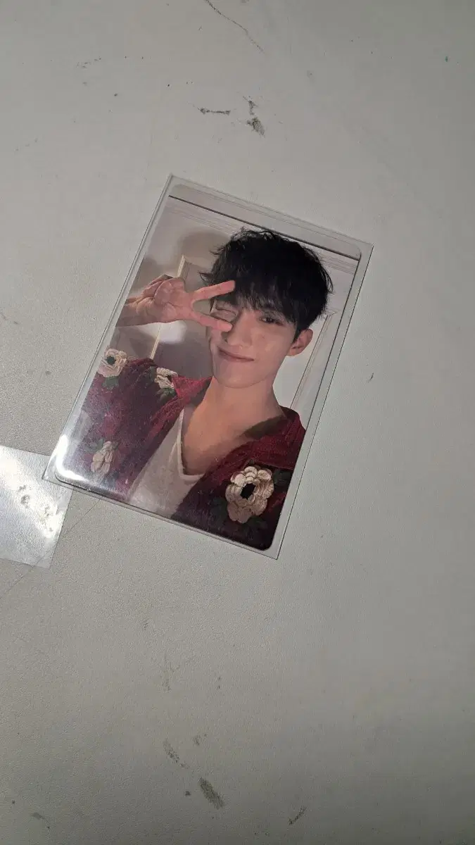세븐틴 헤븐 도겸