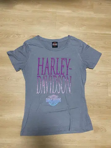 구제 의류 HARLEY-DAVIDSON 그레이 반팔 티셔츠