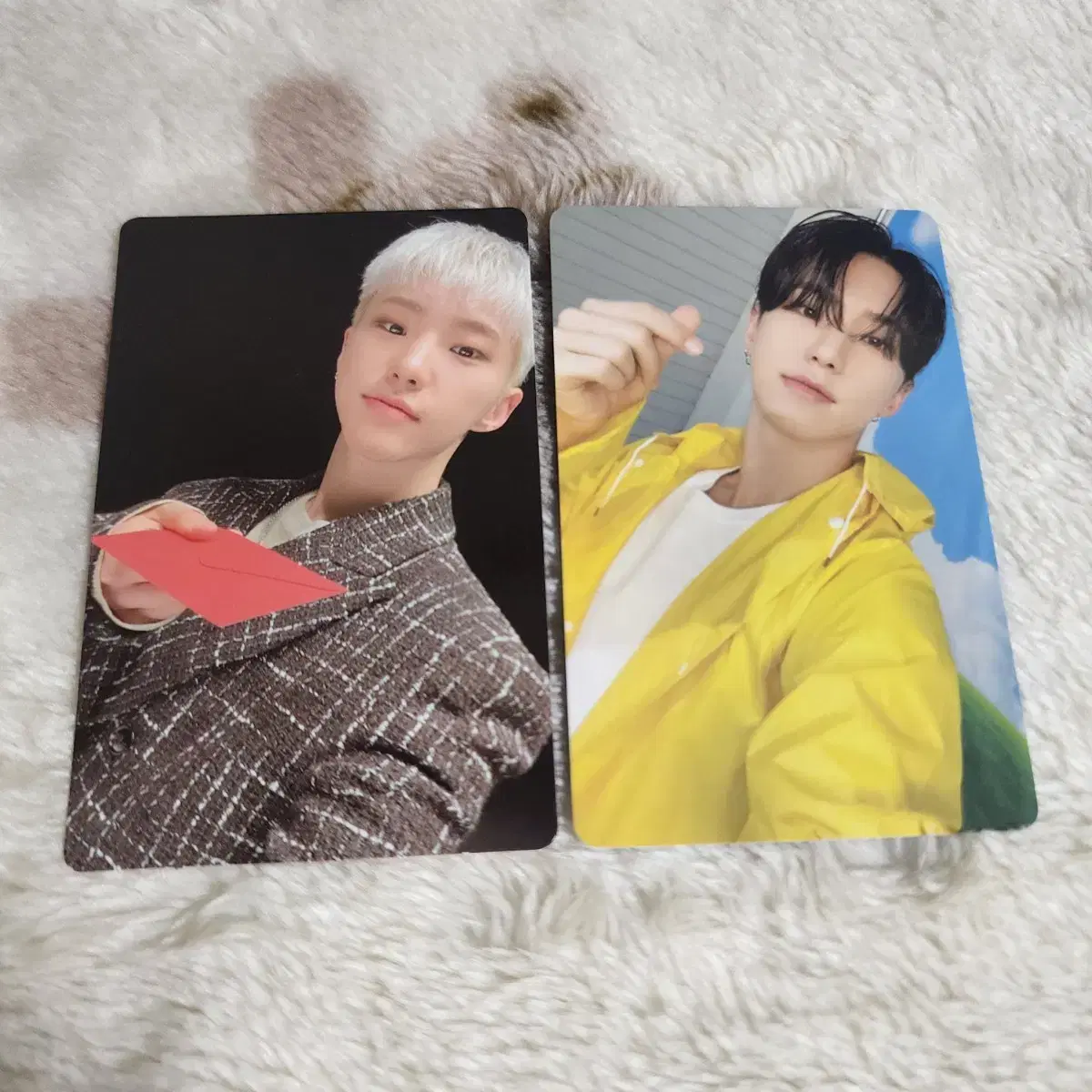 세븐틴 호시 포카 11th mini album