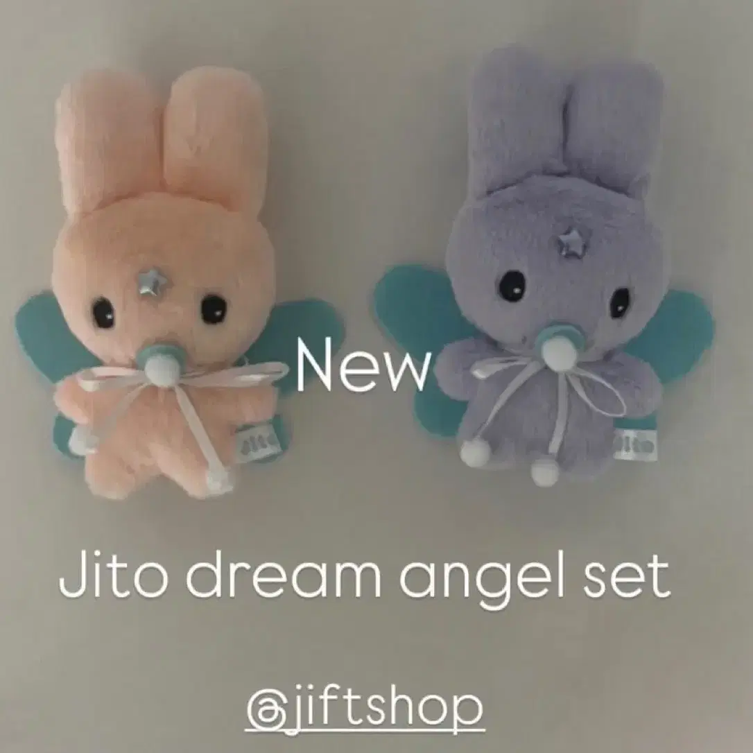 JITO JICHOI 지토 지초이 Jichoi jito 지초이 지토 보라색 | 후루츠패밀리
