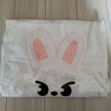 StrayKids 스키즈 리노 Lee 비트 후드 타월