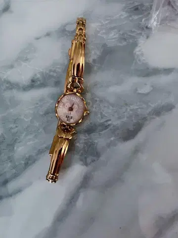 안나수이 쿼츠 시계 버터플라이 다이얼 ANNA SUI