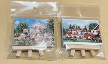 실바니안 패밀리 전 실바니아 전 40th 미니 캔버스 묶음 판매