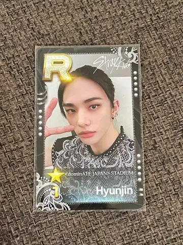 StrayKids 현진 슈스제 SSJYP 에코파