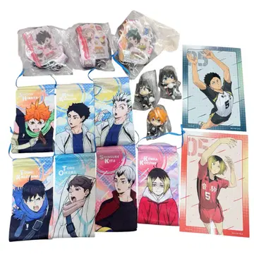 하이큐 모닝 가랜드 스마트폰 스트랩 데포 피그 히나타