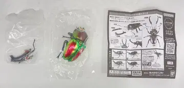 반다이 생물대도감 어드밴스 니지이로쿠와가타 니지이로쿠와가타(노멀)